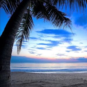 Meet your Posher, Cherrisa